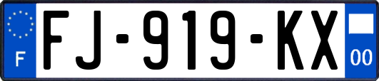 FJ-919-KX