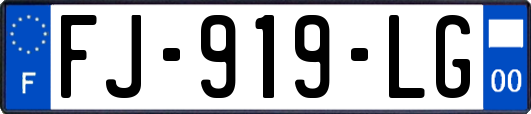 FJ-919-LG