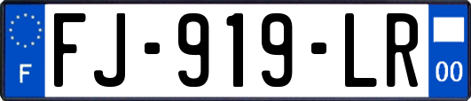 FJ-919-LR