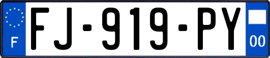 FJ-919-PY