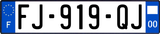 FJ-919-QJ