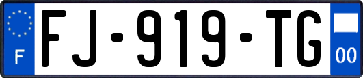 FJ-919-TG