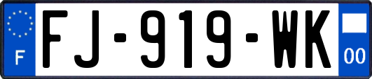 FJ-919-WK