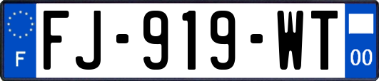 FJ-919-WT