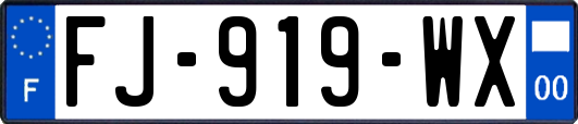 FJ-919-WX