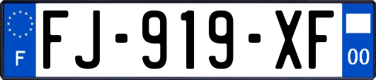 FJ-919-XF