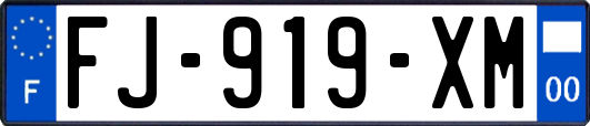 FJ-919-XM