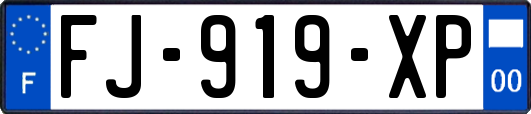 FJ-919-XP