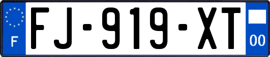 FJ-919-XT