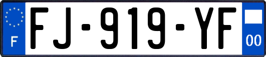 FJ-919-YF