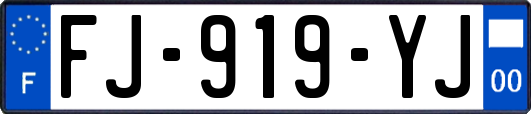 FJ-919-YJ