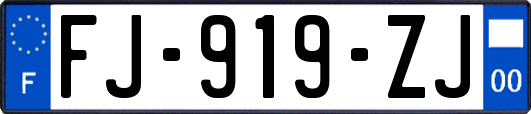 FJ-919-ZJ