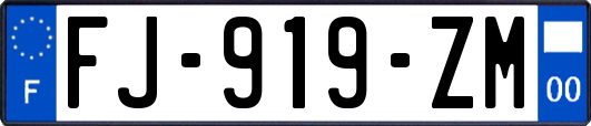 FJ-919-ZM