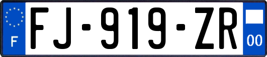 FJ-919-ZR