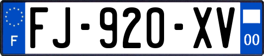 FJ-920-XV