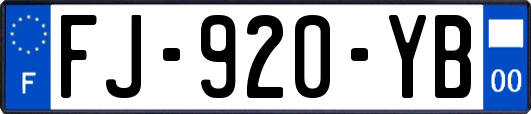FJ-920-YB