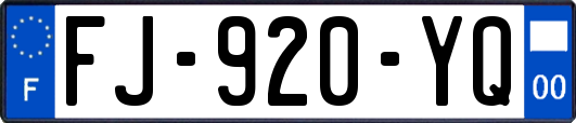 FJ-920-YQ