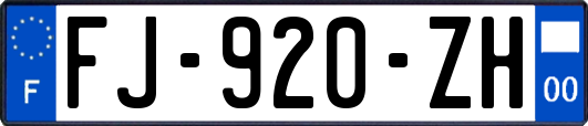 FJ-920-ZH