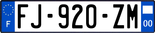 FJ-920-ZM