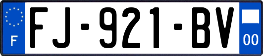 FJ-921-BV