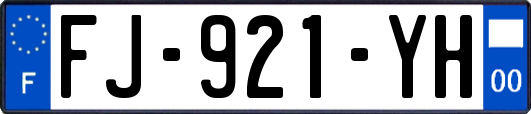 FJ-921-YH