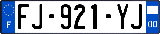 FJ-921-YJ