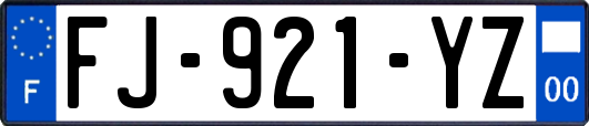 FJ-921-YZ