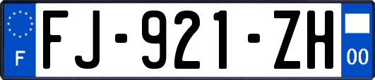 FJ-921-ZH