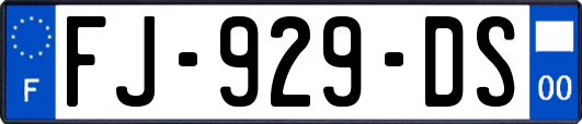 FJ-929-DS