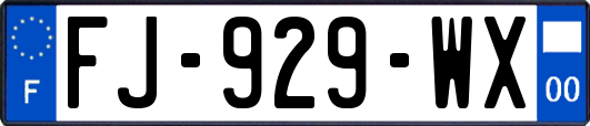 FJ-929-WX