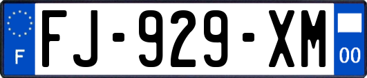 FJ-929-XM