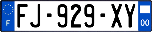 FJ-929-XY