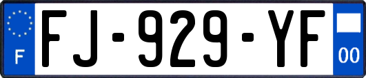 FJ-929-YF