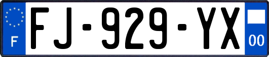 FJ-929-YX