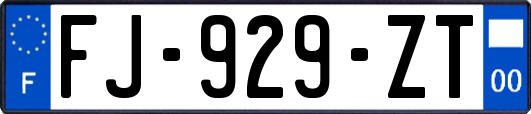 FJ-929-ZT