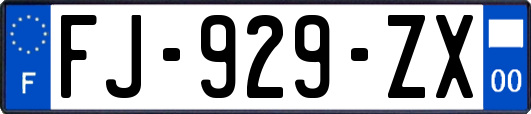 FJ-929-ZX