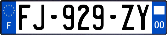 FJ-929-ZY