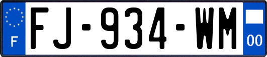 FJ-934-WM