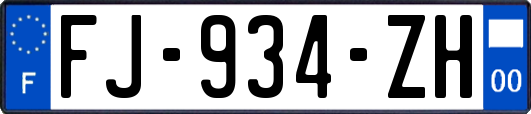 FJ-934-ZH