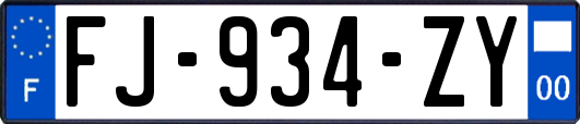 FJ-934-ZY