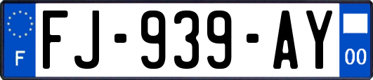 FJ-939-AY