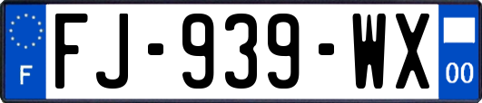 FJ-939-WX