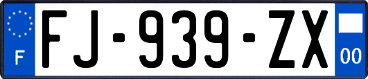 FJ-939-ZX