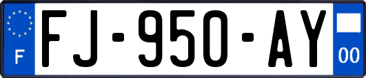 FJ-950-AY