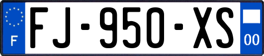 FJ-950-XS