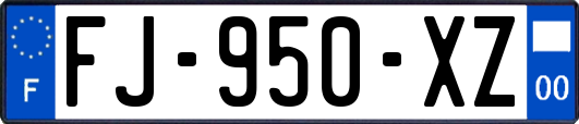 FJ-950-XZ