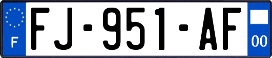 FJ-951-AF