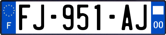 FJ-951-AJ