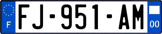 FJ-951-AM