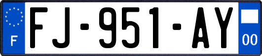 FJ-951-AY